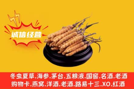 日喀则拉孜县回收冬虫夏草